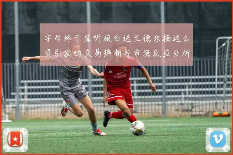 字母终于落听狼白送兰德尔杨这么贵引发的交易热潮与市场反应分析
